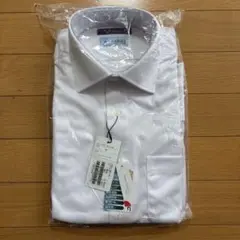 Item thumbnail for item a61e0cf4-b3d5-4f4c-9668-7e3e15b5911a