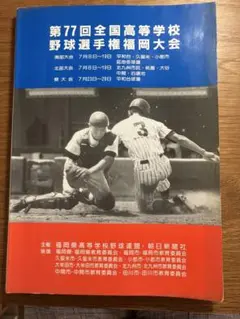 第77回全国高等学校野球選手権福岡大会 各校紹介　1995年　平成7年