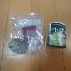 ネイチャーテクニカラー　小笠原　特装版　ユウゼン