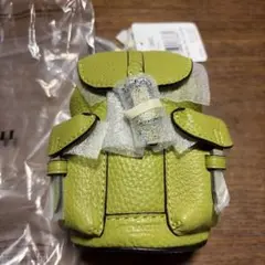 Item thumbnail for item e65bcd45-e417-43a0-84d8-afb956221d75