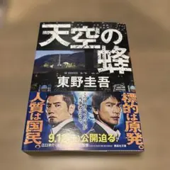 天空の蜂
