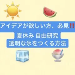 小学生 中学生 夏休み 理科 自由研究 レポート 参考 雑誌 お手本 題材