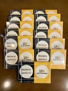 Item thumbnail for item 7dcd77c0-c9c6-4a3e-9698-44cf36f47bbd