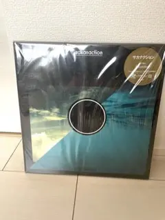 サカナクション sakanaction アナログ盤　レコード サカナクション - Sakanaction レコードの通販店・販売の