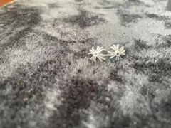 Item thumbnail for item b0be1b8b-365f-4220-9cb9-c645b2ca2beb