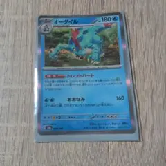 ポケモンカード オーダイル