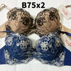 在庫1点　トリンプ AC004 ブラジャー 2点 B75