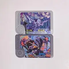 ポケモンフレンダ　ワンダー　スペシャルアメジオ　ソウブレイズ　2枚セット