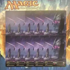 MTG フルアート基本地形・沼 英語版10枚セット
