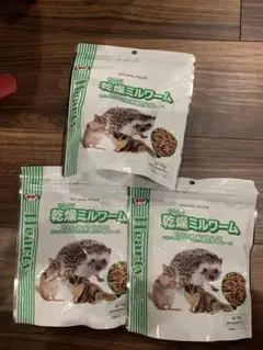 Item thumbnail for item 83a03c35-bd68-4771-bad0-f1f9d8ca1152