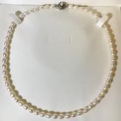 未使用 本真珠 ネックレス 上品 艶 ホワイト モラビト ミキモト タサキ