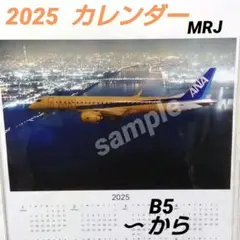 ANA MRJ90型モデルプレーン（値下げ交渉OK） ANA MRJ90型モデルプレーン（値下げ交渉OK） 航空機・ヘリコプター