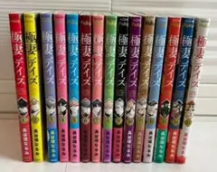 極妻デイズ 全巻セット 新井理恵