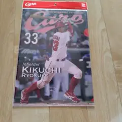 菊池涼介 クリアファイルセット 33