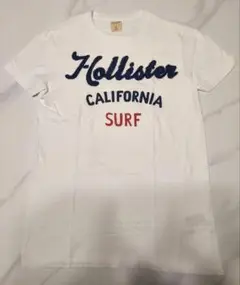 ホリスター HOLLISTER Tシャツ 平井大