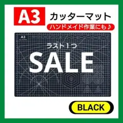 Item thumbnail for item 6f6eda39-6332-4595-8690-eb183fac24a4