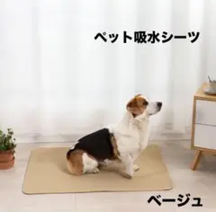 Item thumbnail for item ec8cb4c5-f92e-46a0-bce1-22e002c56faa