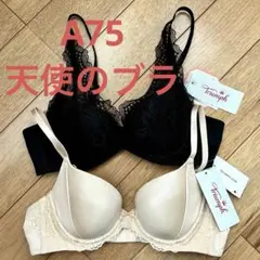 Item thumbnail for item 900b764a-b4b2-4a75-ba57-4711bc308178