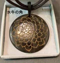 Item thumbnail for item 0a9226fe-d075-4612-be03-99477e13b475