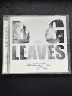 「BIG LEAVES」　Vlidge cd
