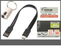 緊急時の予備●USB Type-C⇔USBケーブル 20cm 黒 キーホルダ－型