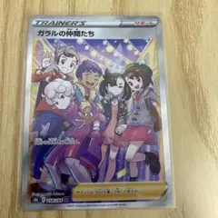 ガラルの仲間たち