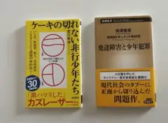 ケーキの切れない非行少年たち　発達障害と少年犯罪