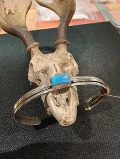 Item thumbnail for item eeaaf2a0-4837-4843-b6e9-38500d0cfc8f