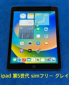 iPad 第5世代 simフリー 32GB スペースグレイ7