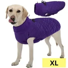 Item thumbnail for item 035e2675-8c5f-4668-b10b-842d42555c63