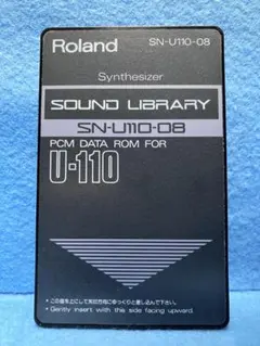 2025年最新】Roland U-110の人気アイテム - メルカリ