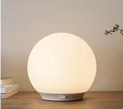 ニトリ　LEDボールランプ　YP-Q555