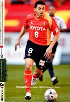 マギヌン 名古屋グランパス レギュラーカード Jカード 2009 Jリーグ