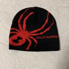 2025年最新】supreme spyder beanieの人気アイテム - メルカリ