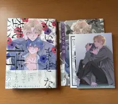 匿名配送　ないまぜな熱情 アニメイトセット 12P小冊子付き 沖田有帆