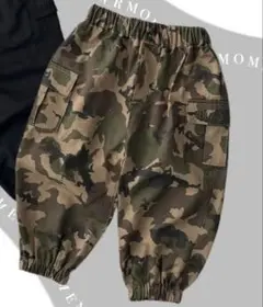 Item thumbnail for item 8c16f54d-ca79-443c-acdb-3b45255ff95f