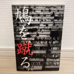 鳩を蹴る。 : 自由律句集