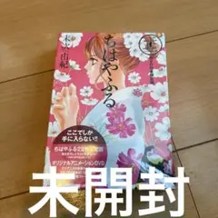 DVD付き ちはやふる(22)限定版