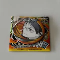 ハイキュー ファンパーク コレクション缶バッジ 清水潔子