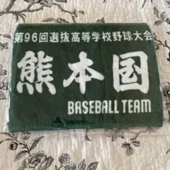 熊本国府高校　記念　スポーツタオル　96回選抜高等学校野球大会