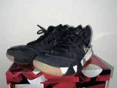 Item thumbnail for item 8160317b-d3df-4f8f-b52a-7e70084917a4