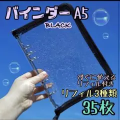 Item thumbnail for item 998113a7-fcd7-49b5-8995-2d78bb533fa1