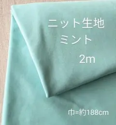 ニット生地◆2m◆ミント