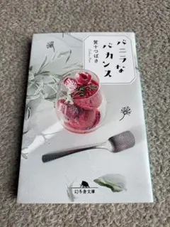 小説 バニラなバカンス