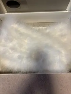 Item thumbnail for item f220186f-ff6d-42a2-b13e-0d45902fffd8