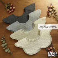 Item thumbnail for item fa6ab051-4258-4169-944e-f150e00a66bb