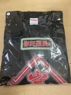 岩井勇気 ネオンTシャツ