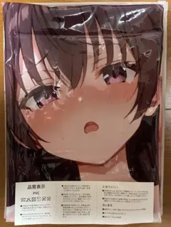 ロジデレ 周防有希 PVC抱き枕 エアクッション