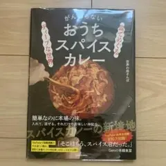 おうちスパイスカレー