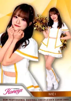 Item thumbnail for item 8365839d-6760-46b3-9650-ac65e72a8743